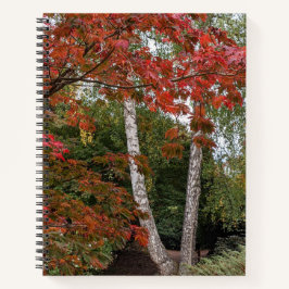 Farbige Herbstverlässe Foto Notizbuch