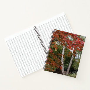 Farbige Herbstverlässe Foto Notizbuch