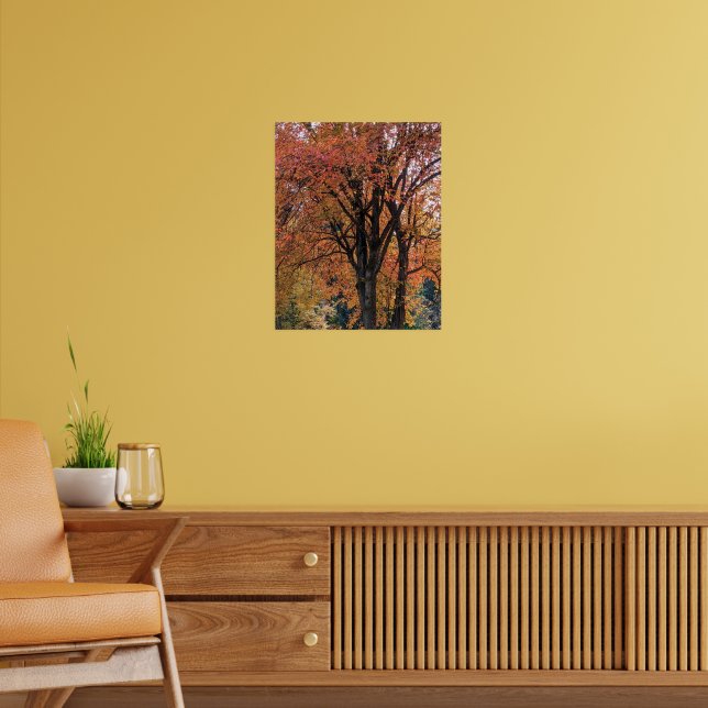 Farbige Herbstverlässe fotografisch Poster (Wohnzimmer 2)