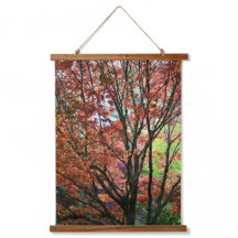 Farbige Herbstverlässe fotografisch