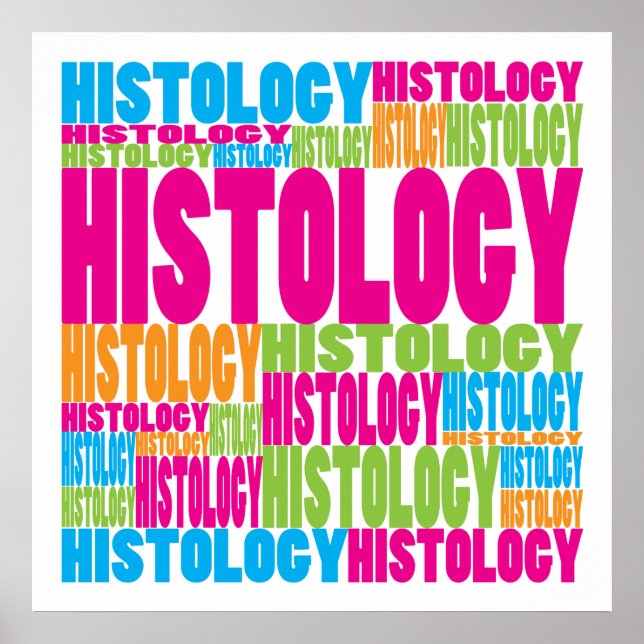 Farbige Histologie Poster (Vorne)