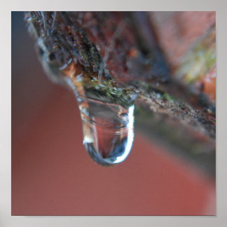 Farbige Ikone Poster