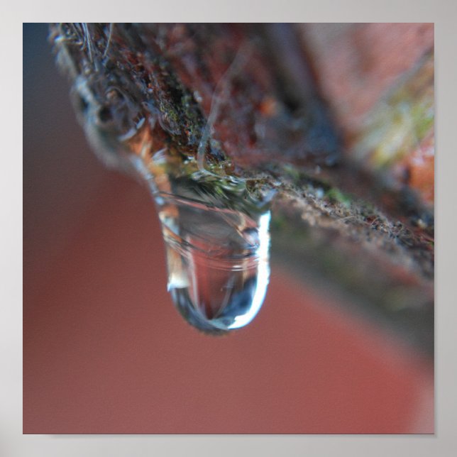 Farbige Ikone Poster (Vorne)