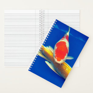 Farbige Koi im blauen Pool Notizbuch
