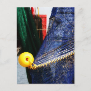 Farbige Krabbennetze und Schwimmbäder, Florida Postkarte