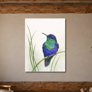 Farbige Kronen-Waldnymphe-Kolibri Poster