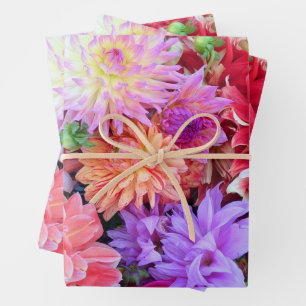Farbige Lebendige Dahlienblumen  Geschenkpapier Set