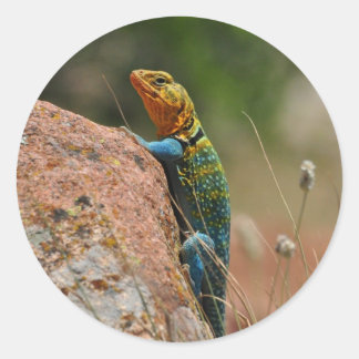 Farbige Lizard Runder Aufkleber