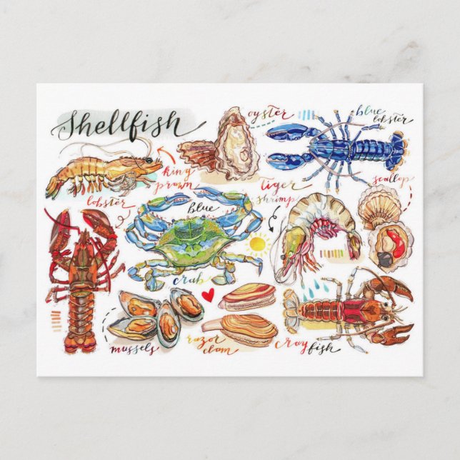 Farbige Meeresfrüchte-Postkarte Postkarte (Vorderseite)