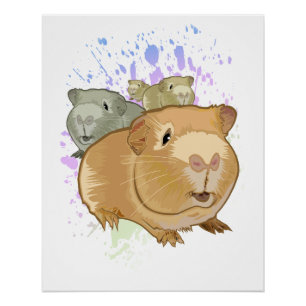 Farbige Meerschweinchen-Trio-Regenbogen-Farbspritz Poster
