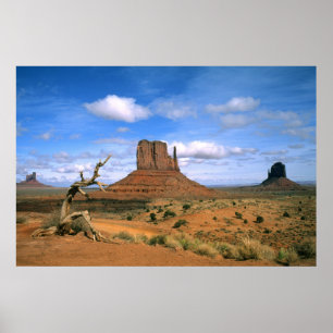 Farbige Monument Valley Handschuhe in Utah USA Poster