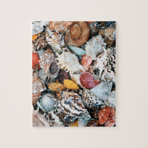 Farbige Muscheln Puzzle