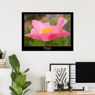 Farbige Nahaufnahme-Fotografie einer rosa Mohnblum Poster