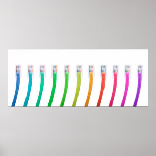 Farbige Netzwerkkabel Poster