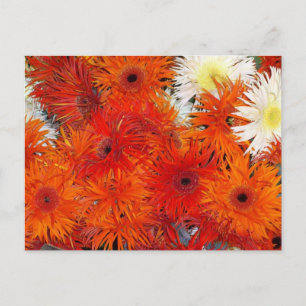 FARBIGE ORANGE FLORA POSTKARTE