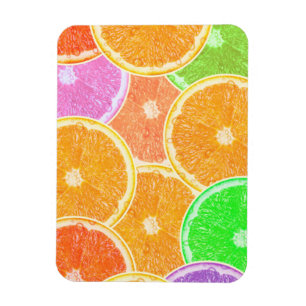 Farbige Orangen Magnet