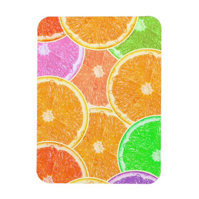 Farbige Orangen Magnet (Vertikal)