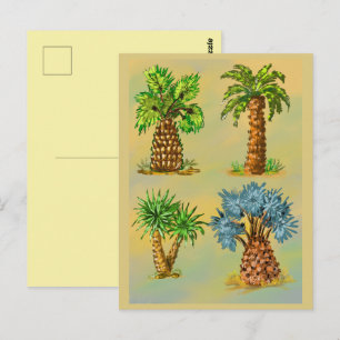 Farbige Palmensorten. Postkarte