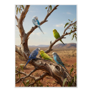 Farbige Papageien auf einem Baumzweig Tropische Vö Poster