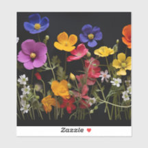 Farbige Pappi und andere Blume