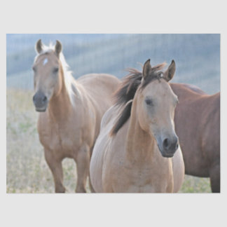 Farbige Pferde Seidenpapier