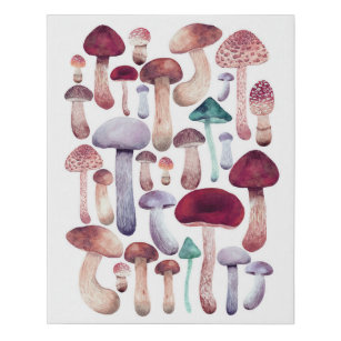 Farbige Pilze Aquarellbilder Künstlicher Leinwanddruck