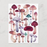 Farbige Pilze Aquarellbilder