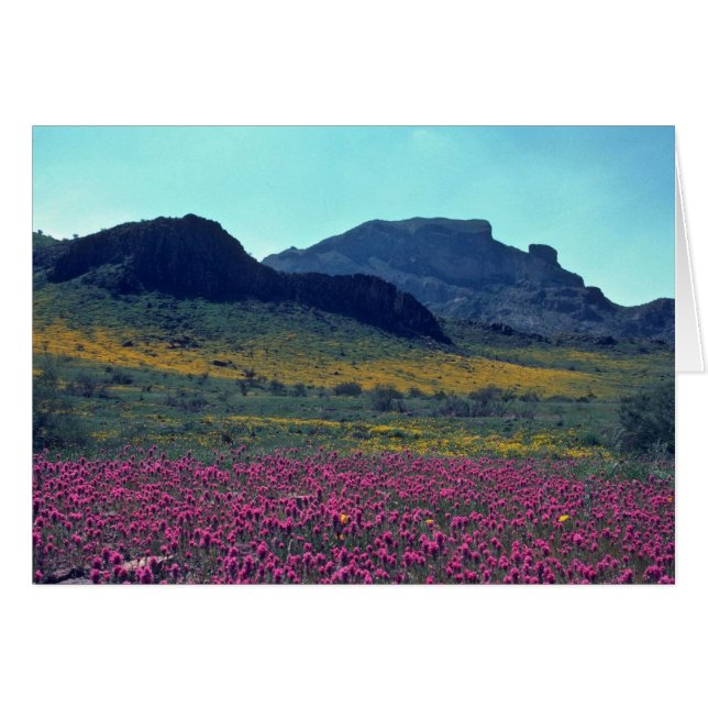 Farbige Pisten (Vorderseite (Horizontal))