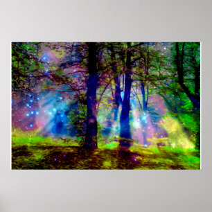 Farbige Regenbogenbäume Enchanted Forest  Poster