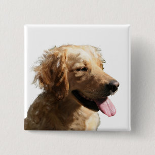 Farbige Retriever-Taste Button