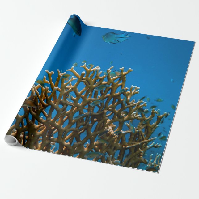Farbige Riffe Geschenkpapier (Ungerollt)