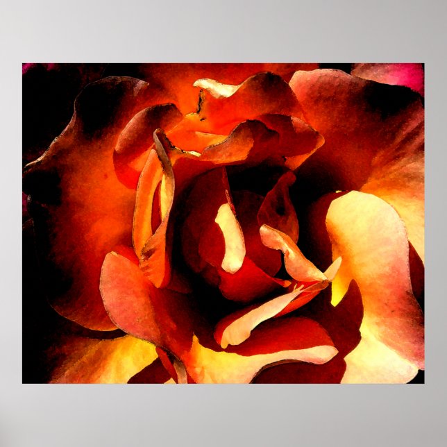 Farbige Rose Poster (Vorne)