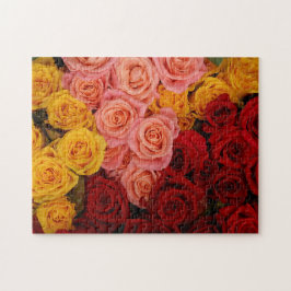 Farbige Rose Puzzle