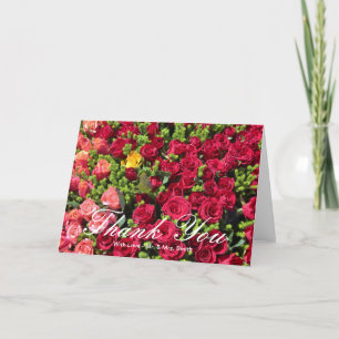 Farbige Rose Vielen Dank Dankeskarte