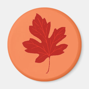 Farbige rote Herbstleaf-Magnet Magnet