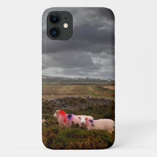 Farbige Schafe Case-Mate iPhone Hülle