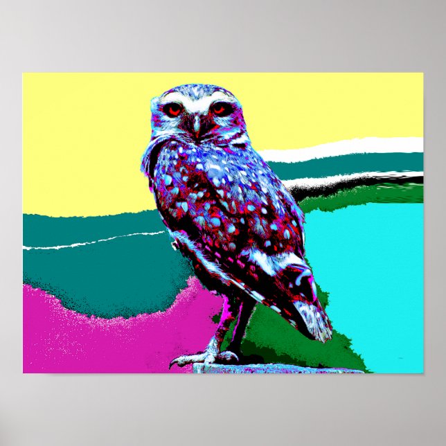 Farbige Schale nach der Posterisierung Poster (Vorne)