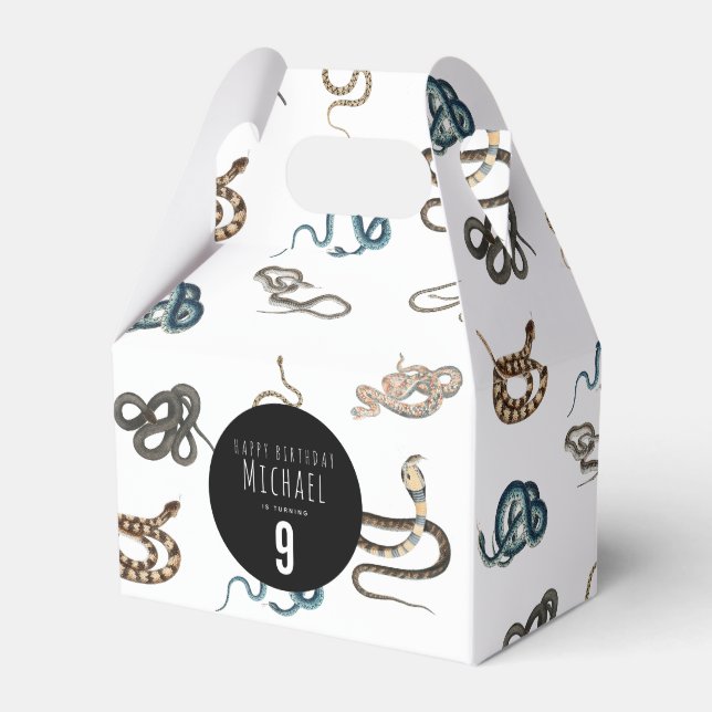 Farbige Schlangen Reptile Animal Birthday Party Geschenkschachtel (Vorderseite)