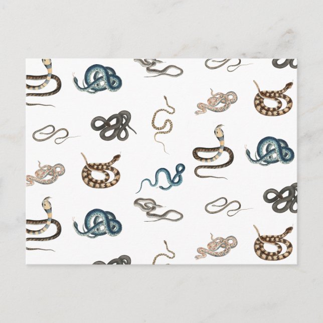 Farbige Schlangen Reptilienmuster Feiertagspostkarte (Vorderseite)