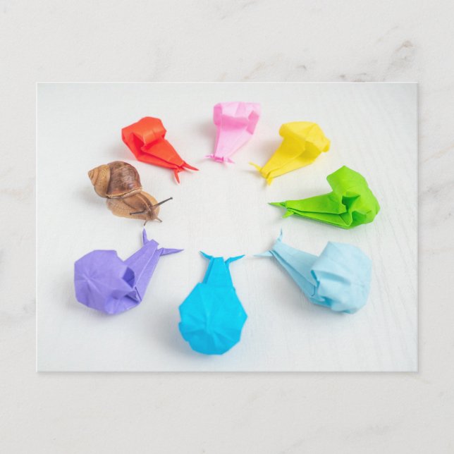 Farbige Schnecken Postkarte (Vorderseite)