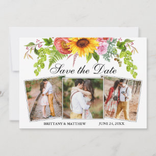 Farbige Sonnenblumen Gemischte Blüte 3 Foto Save The Date