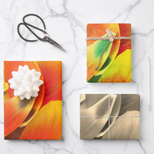 Farbige Sorte Tulip Petal Foto Jeden Anlaß Geschenkpapier Set