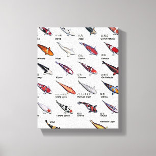 Farbige Sorten Koi Fisch Nishikigoi Zeichnend Leinwanddruck