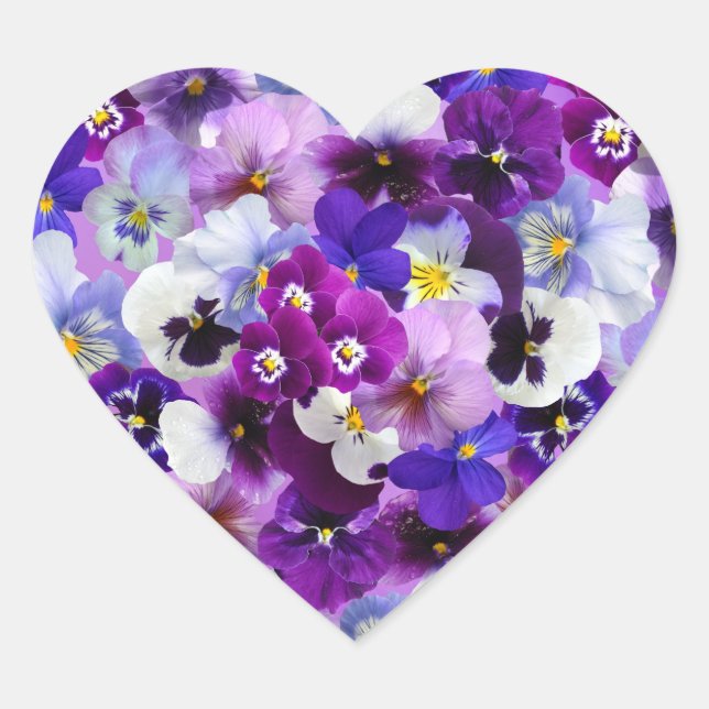 Farbige Stiefmütterchen, Hübsche Blume, Herz-Aufkleber (Vorderseite)