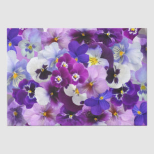 Farbige Stiefmütterchen, Hübsche Blume, Seidenpapier