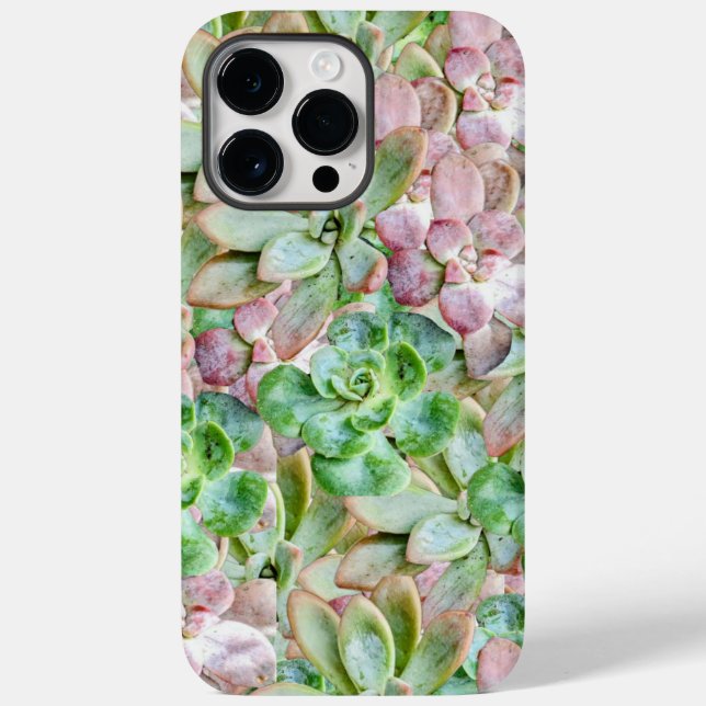 Farbige Sukkulente      Case-Mate iPhone Hülle (Rückseite)