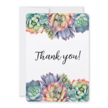 Farbige Sukkulente Danke schön