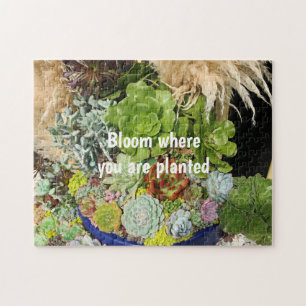 Farbige Sukkulente mit Silbergras Puzzle