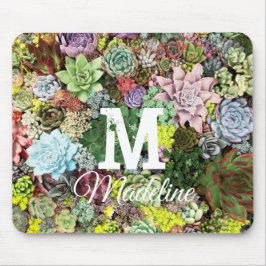 Farbige Sukkuline Mousepad