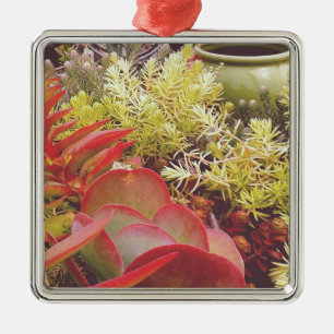 Farbige Sukkuline Ornament Aus Metall